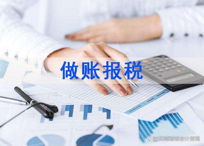 精诚会计咨询 市场主体登记注册代理与一站式税务服务