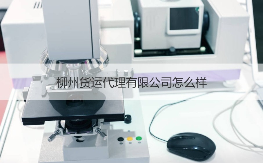 柳州货运代理与市场主体登记注册代理服务全景解析
